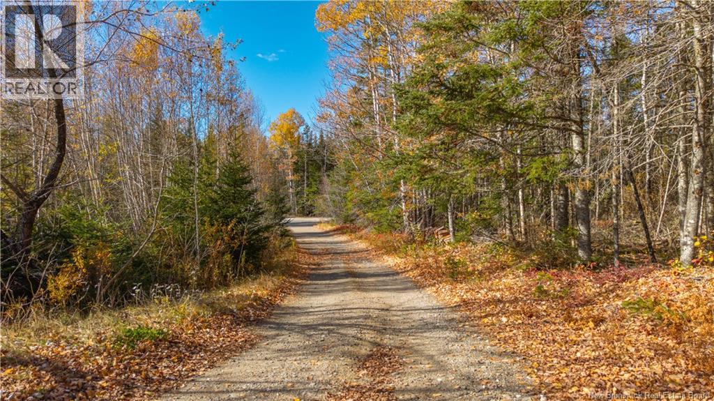 364 Board Road - 48