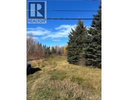 2110 Saint-charles South Road, Saint Charles, NB E4W4W6 Photo 6
