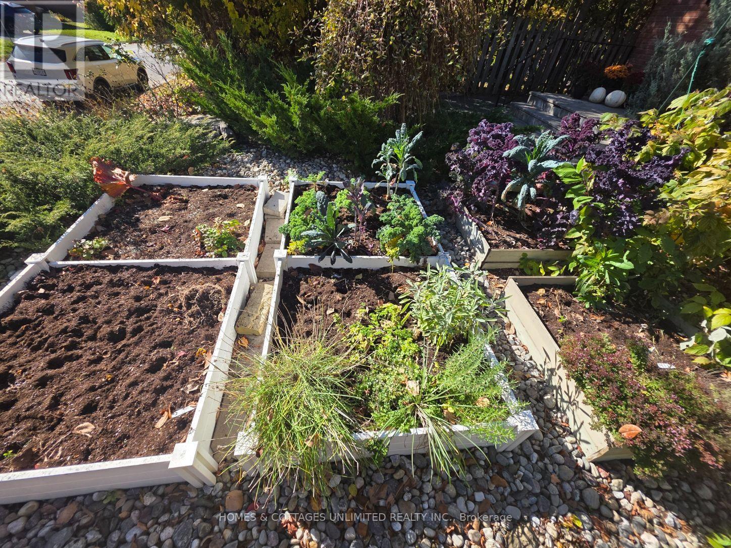 raised bed garden
