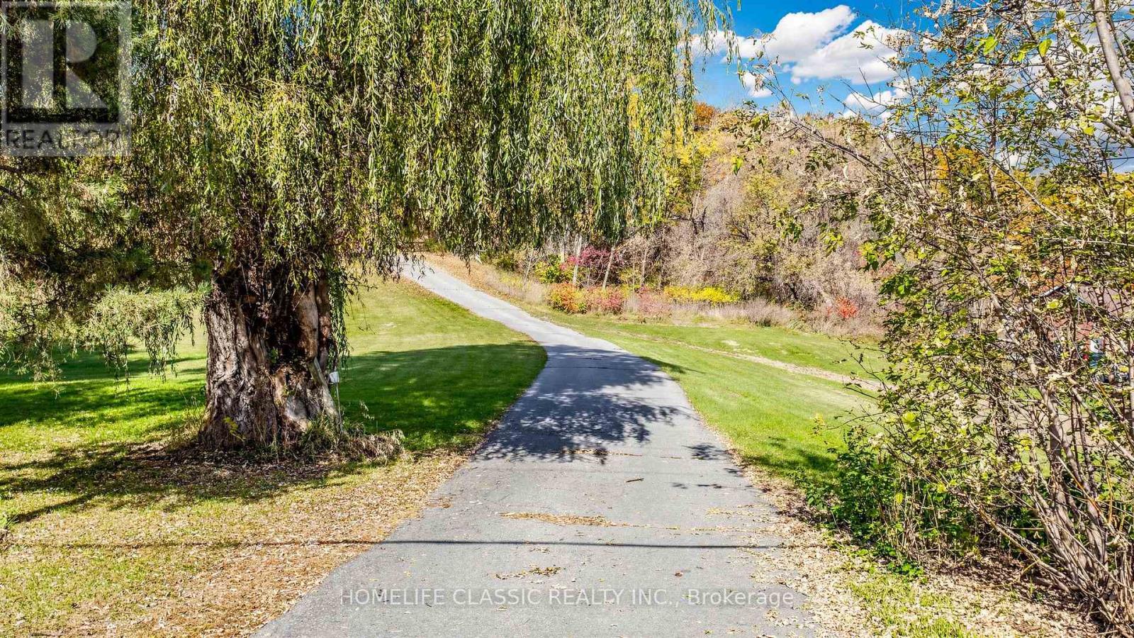 448 Old Wooler Road, Brighton, ON photo 3