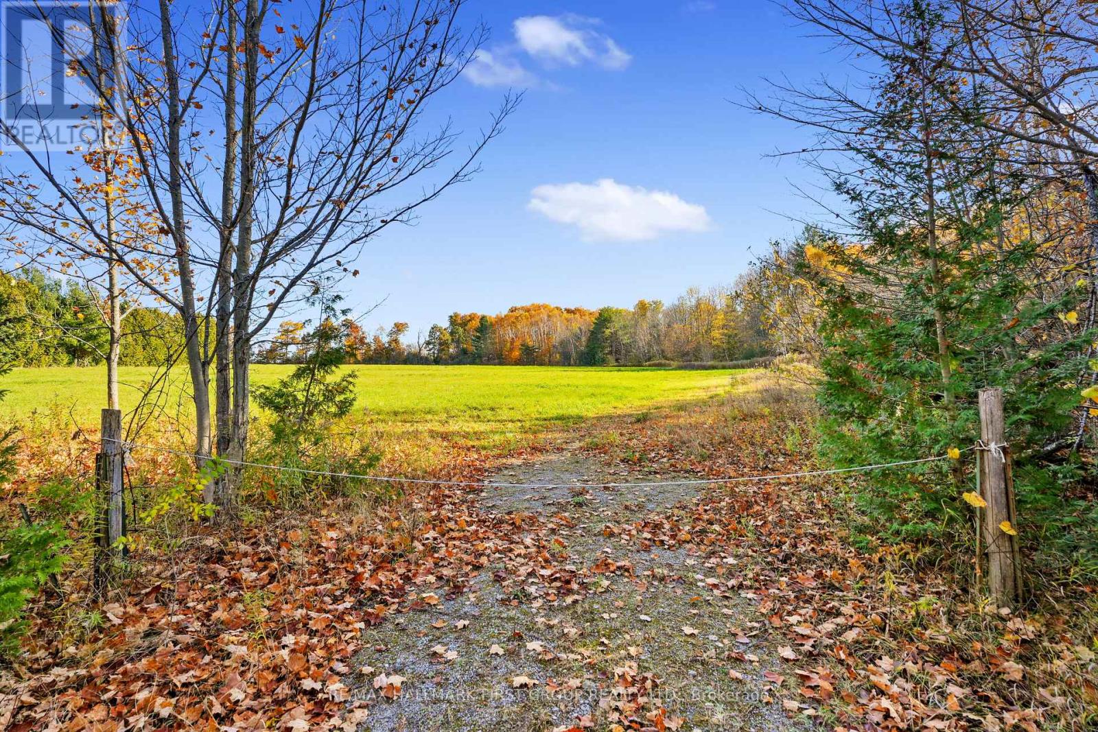 Forget Road, Alnwick/Haldimand, ON photo 16