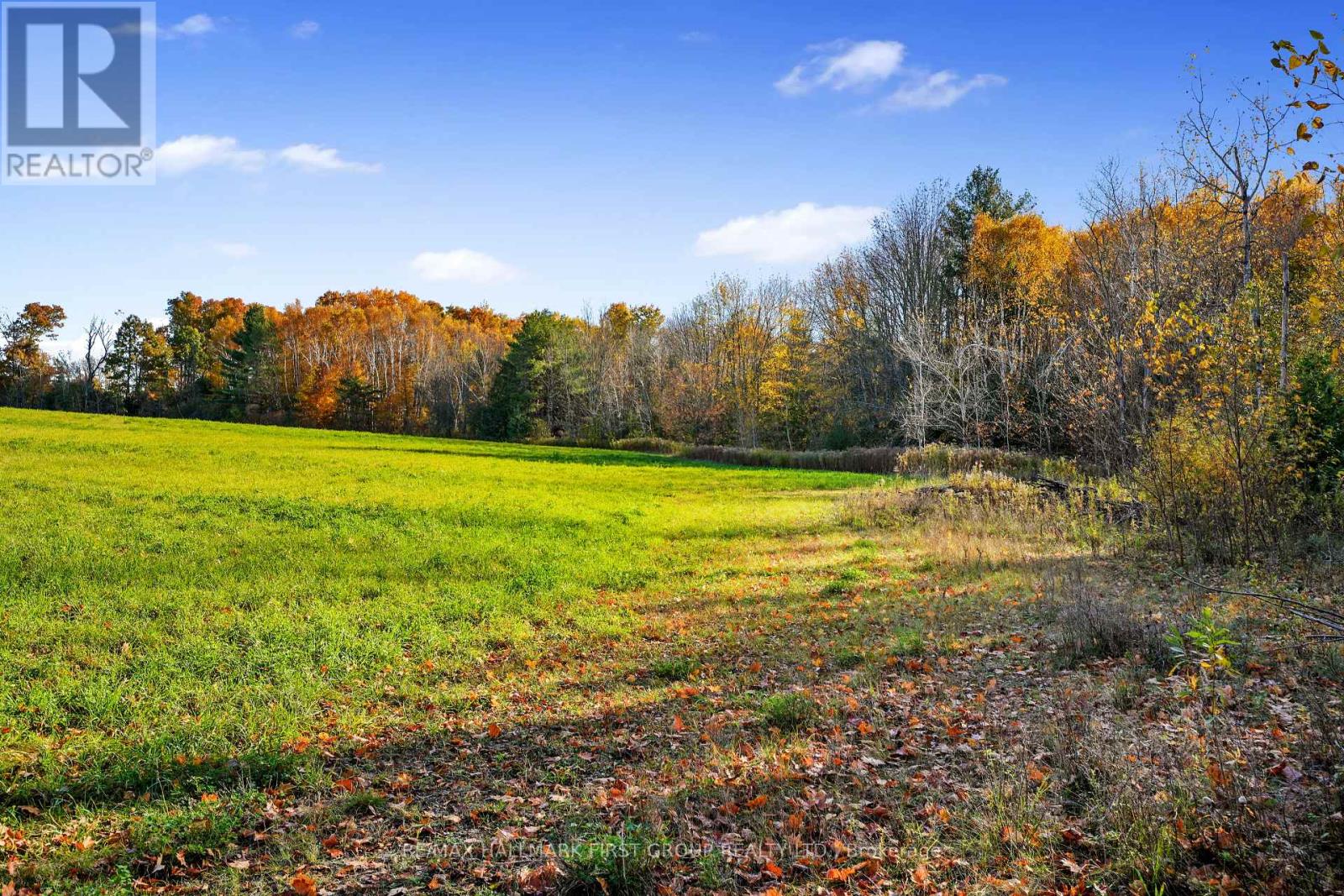 Forget Road, Alnwick/Haldimand, ON photo 17