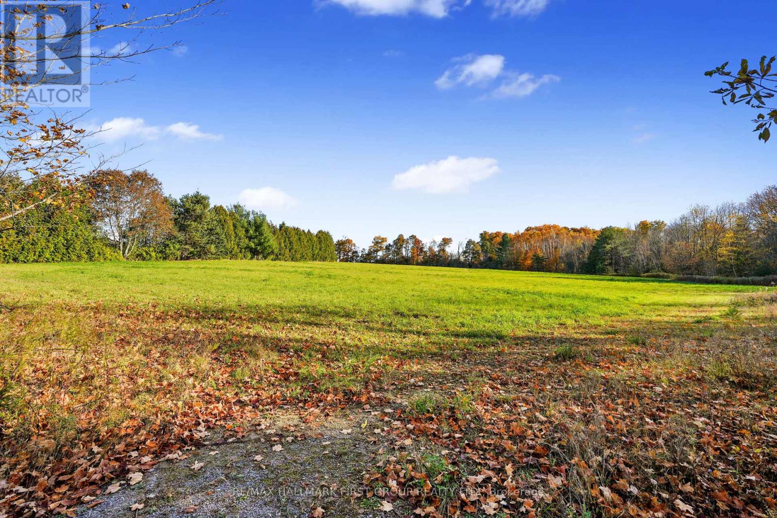 Forget Road, Alnwick/Haldimand, ON photo 19