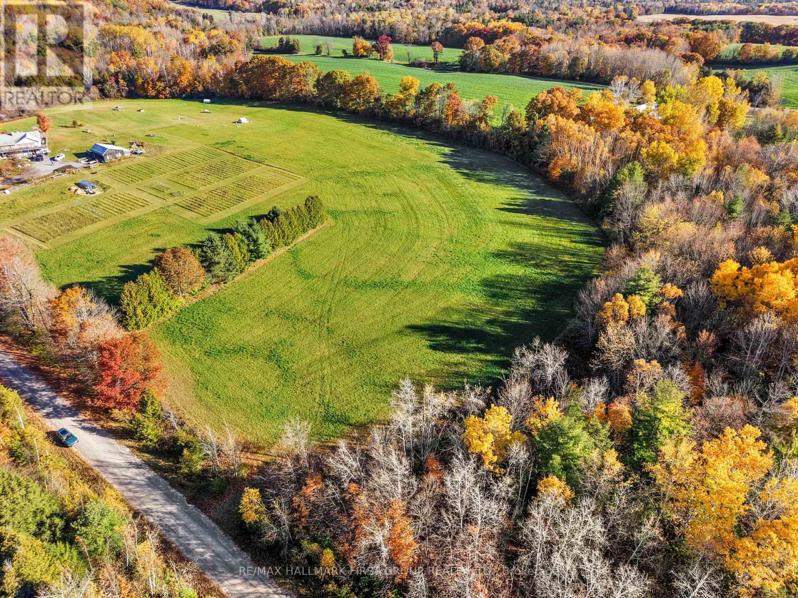 Forget Road, Alnwick/Haldimand, ON photo 4