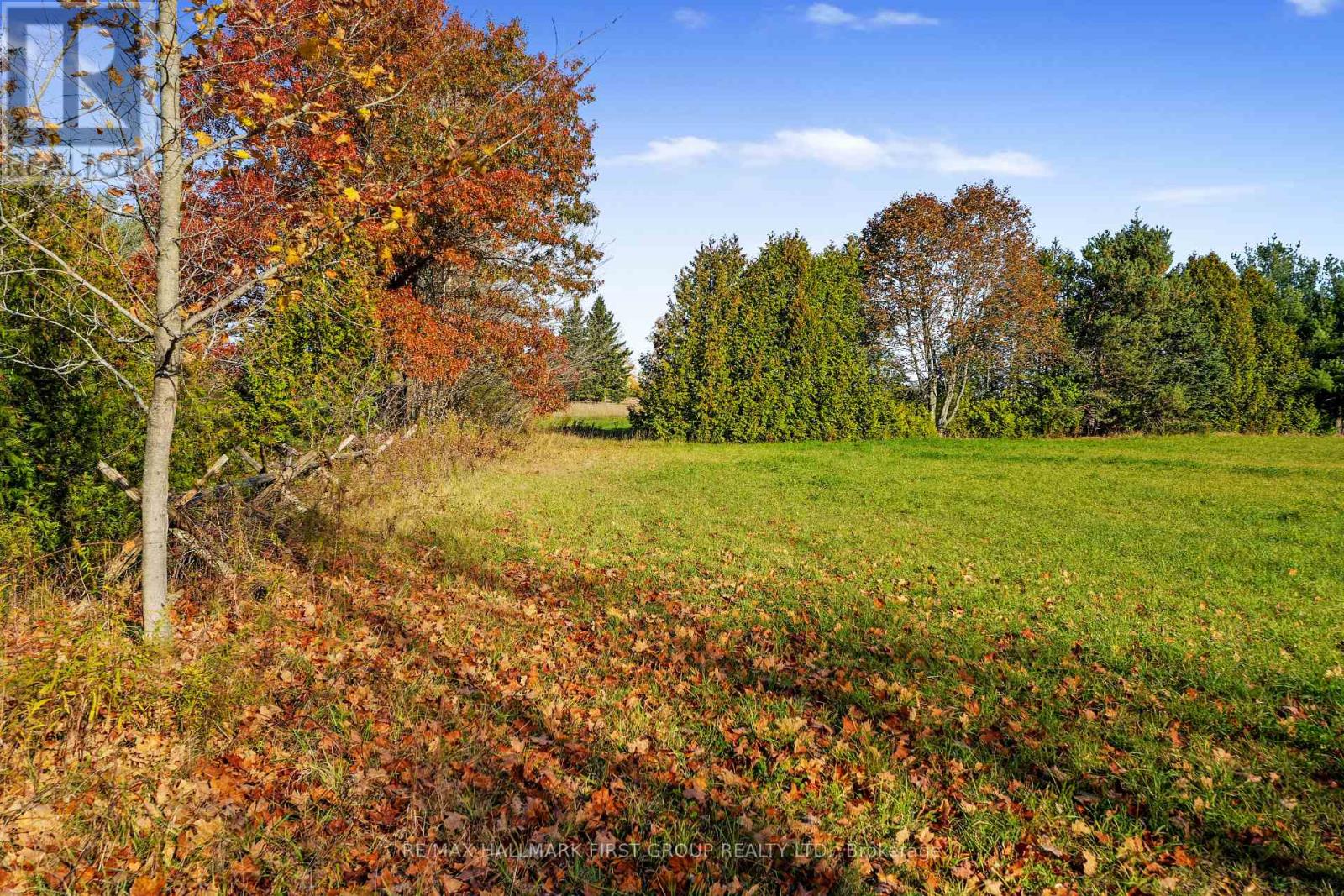 Forget Road, Alnwick/Haldimand, ON photo 5