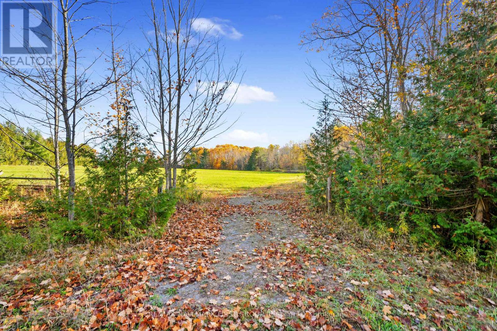 Forget Road, Alnwick/Haldimand, ON photo 6