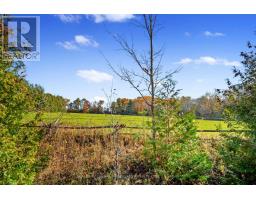 Vacant Land At 181 Forget Road, Alnwick/haldimand, ON K0K1M0 Photo 13