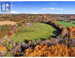 Vacant Land At 181 Forget Road, Alnwick/haldimand, ON K0K1M0 Photo 14