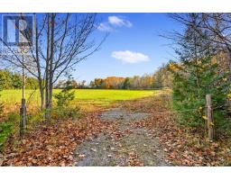 Vacant Land At 181 Forget Road, Alnwick/haldimand, ON K0K1M0 Photo 16