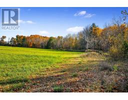 Vacant Land At 181 Forget Road, Alnwick/haldimand, ON K0K1M0 Photo 17