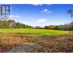 Vacant Land At 181 Forget Road, Alnwick/haldimand, ON K0K1M0 Photo 19