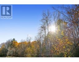 Vacant Land At 181 Forget Road, Alnwick/haldimand, ON K0K1M0 Photo 21