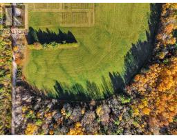 Vacant Land At 181 Forget Road, Alnwick/haldimand, ON K0K1M0 Photo 24