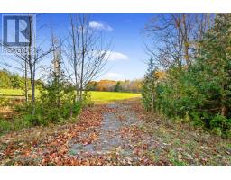Vacant Land At 181 Forget Road, Alnwick/haldimand, ON K0K1M0 Photo 6