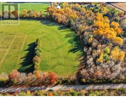 Vacant Land At 181 Forget Road, Alnwick/haldimand, ON K0K1M0 Photo 8
