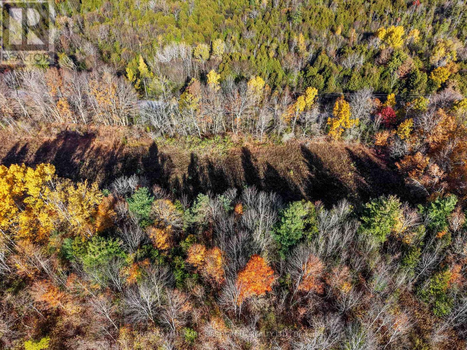 A2 Pipeline Road, Cramahe, ON photo 10