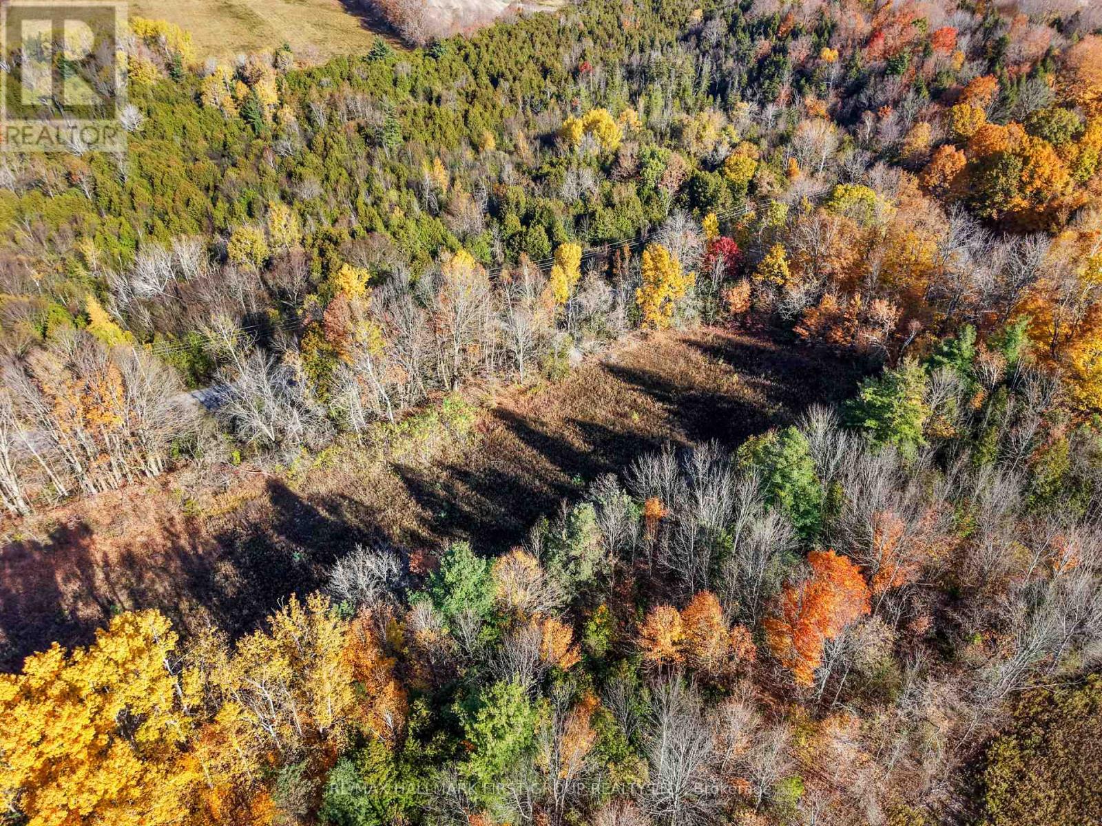 A2 Pipeline Road, Cramahe, ON photo 4