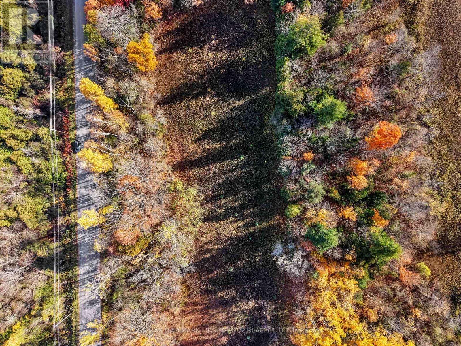A2 Pipeline Road, Cramahe, ON photo 6