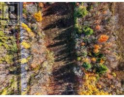 A2 Pipeline Road, Cramahe, ON K0K1M0 Photo 6