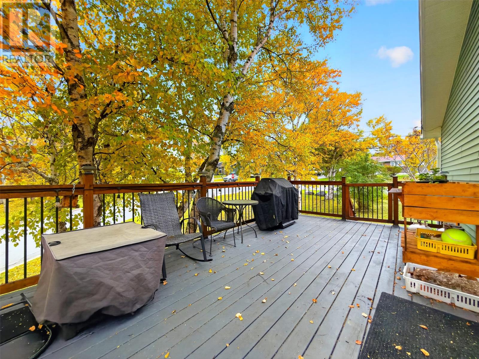 77 Cormack Drive - 19