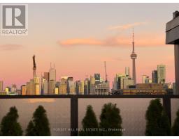 Ph1006 - 41 Dovercourt Road, Toronto, ON M6J0G6 Photo 17