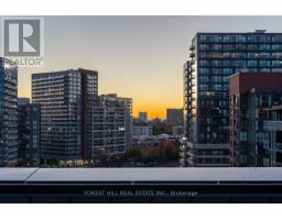 Ph1006 - 41 Dovercourt Road, Toronto, ON M6J0G6 Photo 27