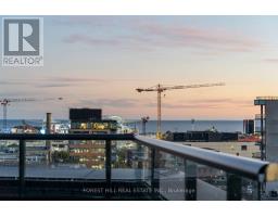 Ph1006 - 41 Dovercourt Road, Toronto, ON M6J0G6 Photo 28