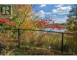 20 Gracedale Drive, Richmond Hill, ON L4C0Y3 Photo 44