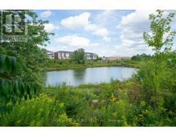 20 Gracedale Drive, Richmond Hill, ON L4C0Y3 Photo 46
