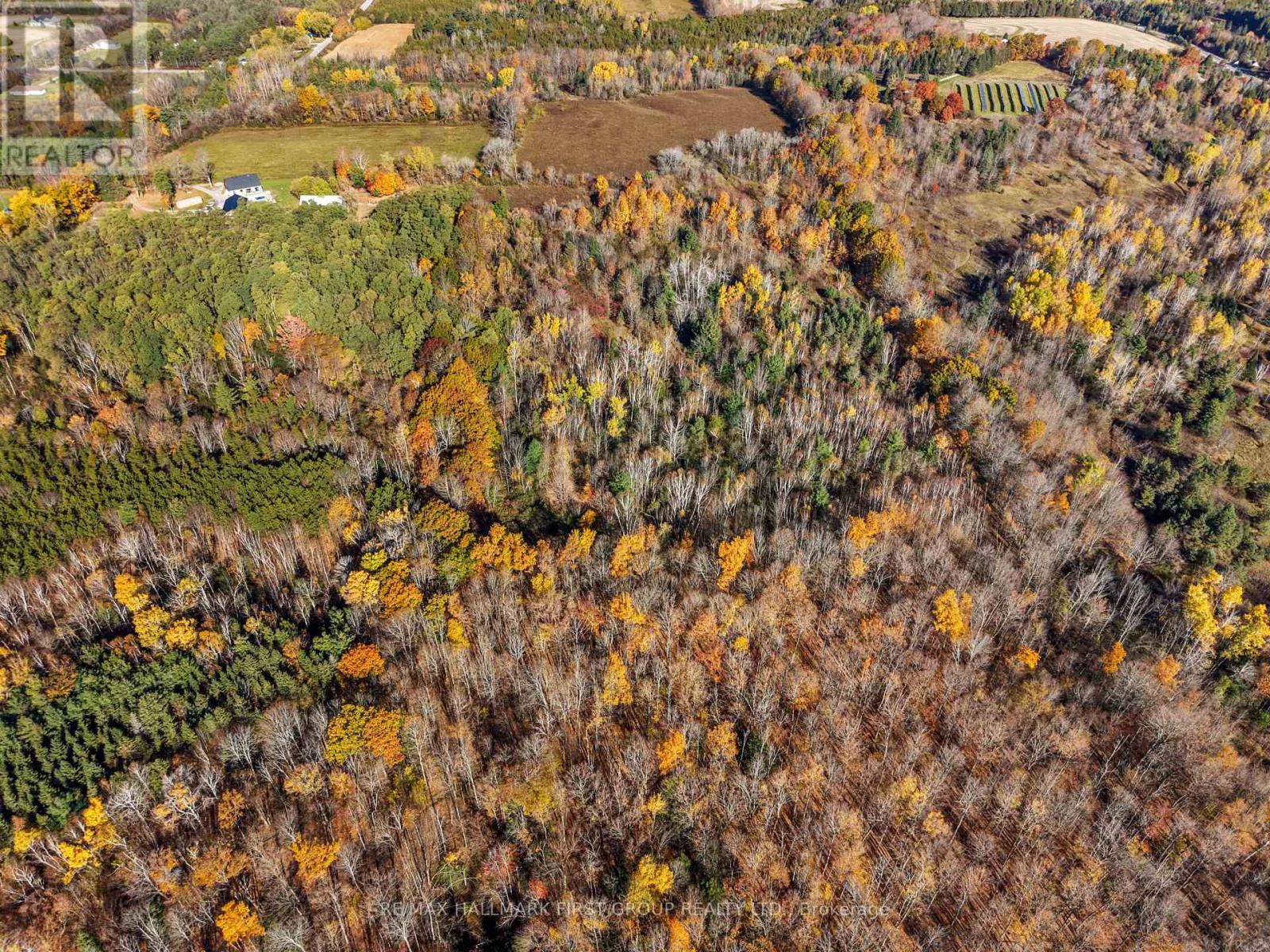 A Pipeline Road, Cramahe, ON photo 12