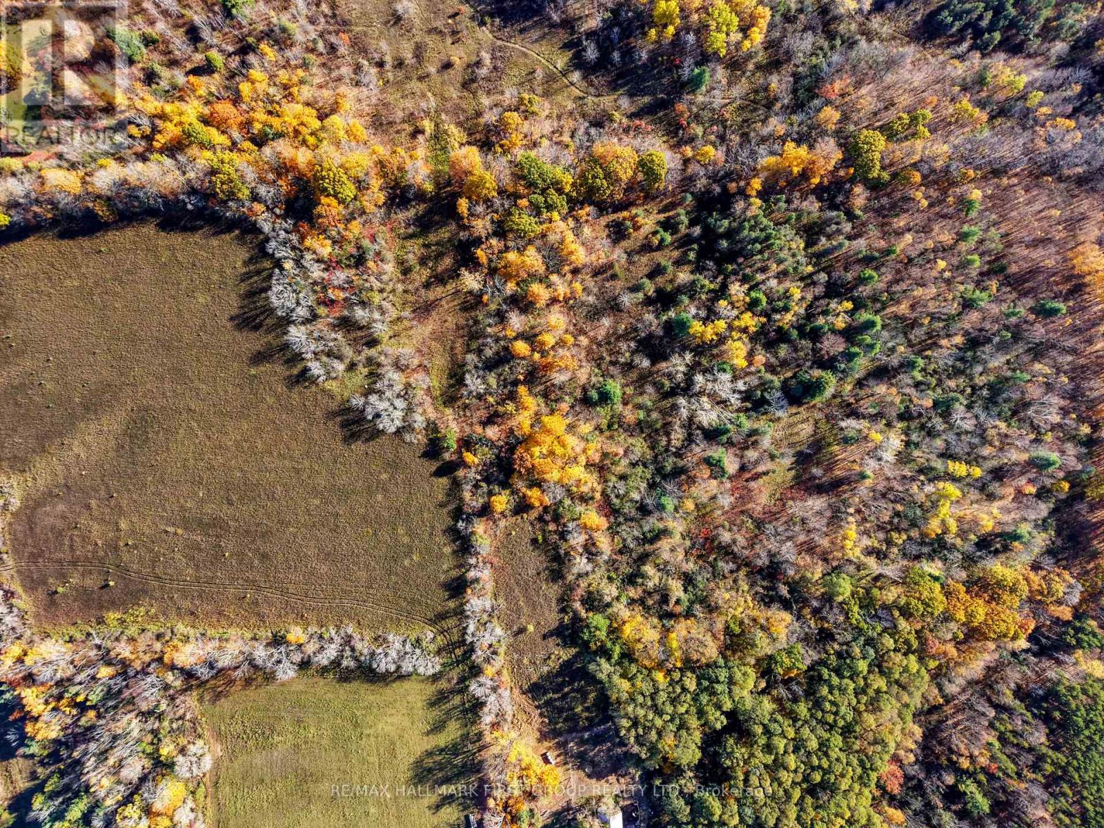A Pipeline Road, Cramahe, ON photo 15