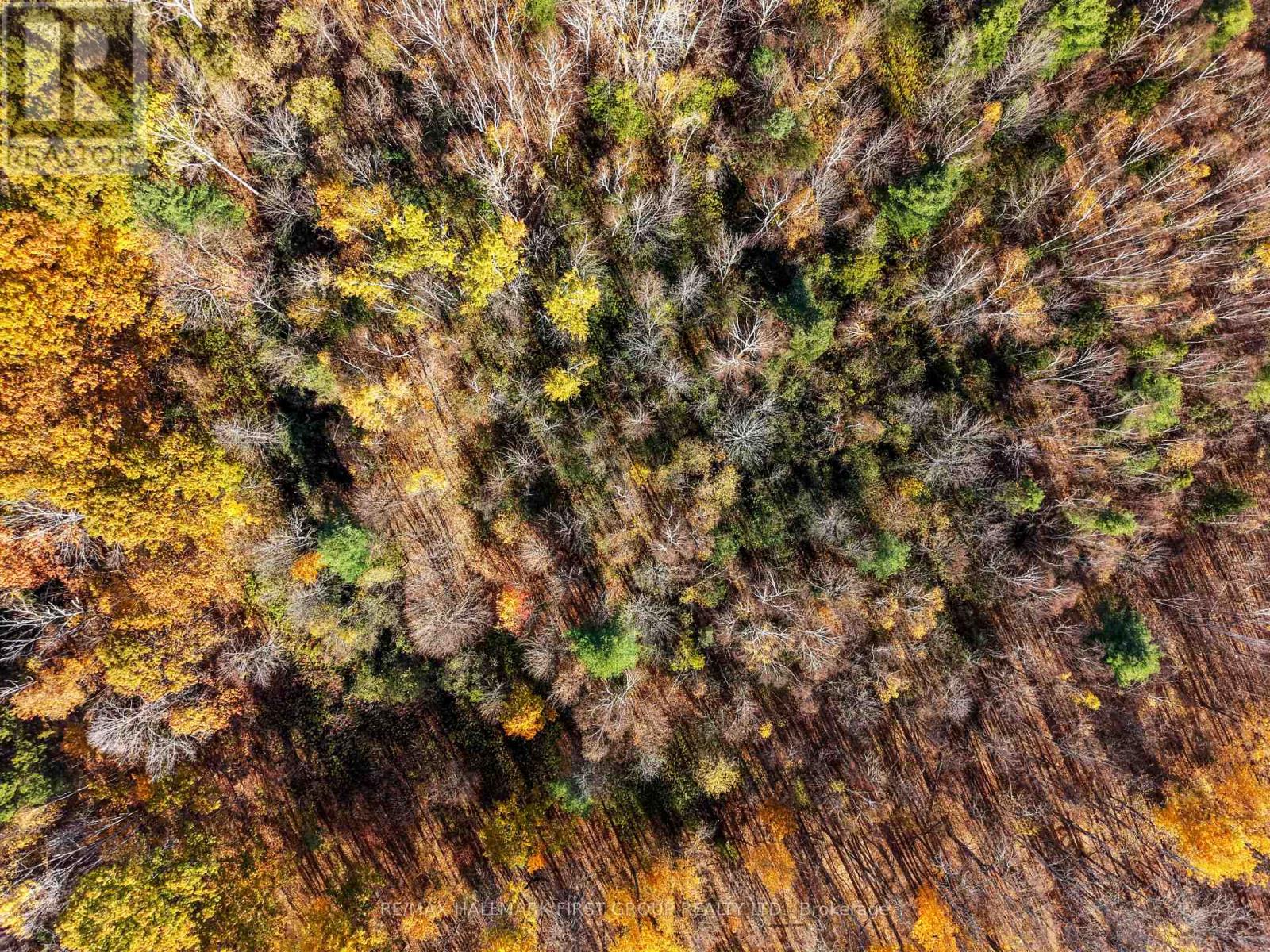 A Pipeline Road, Cramahe, ON photo 8