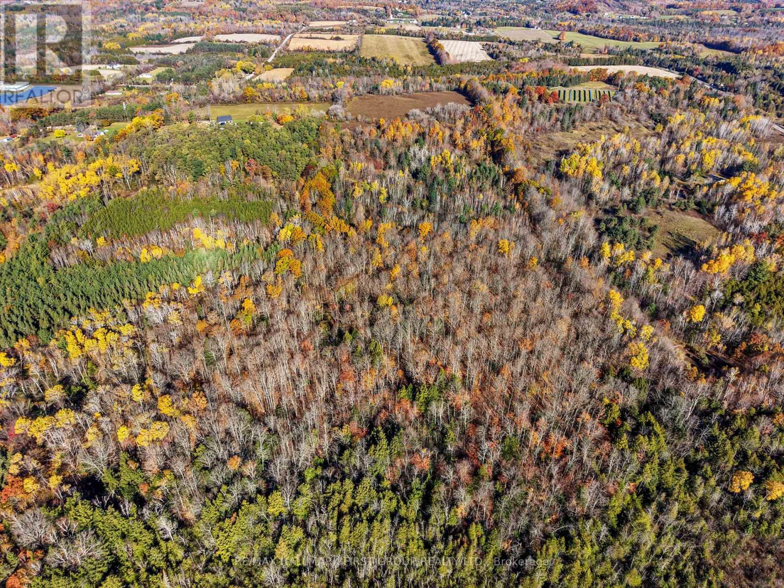 A Pipeline Road, Cramahe, ON photo 9
