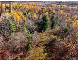 A Pipeline Road, Cramahe, ON K0K1M0 Photo 7