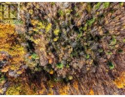 A Pipeline Road, Cramahe, ON K0K1M0 Photo 8