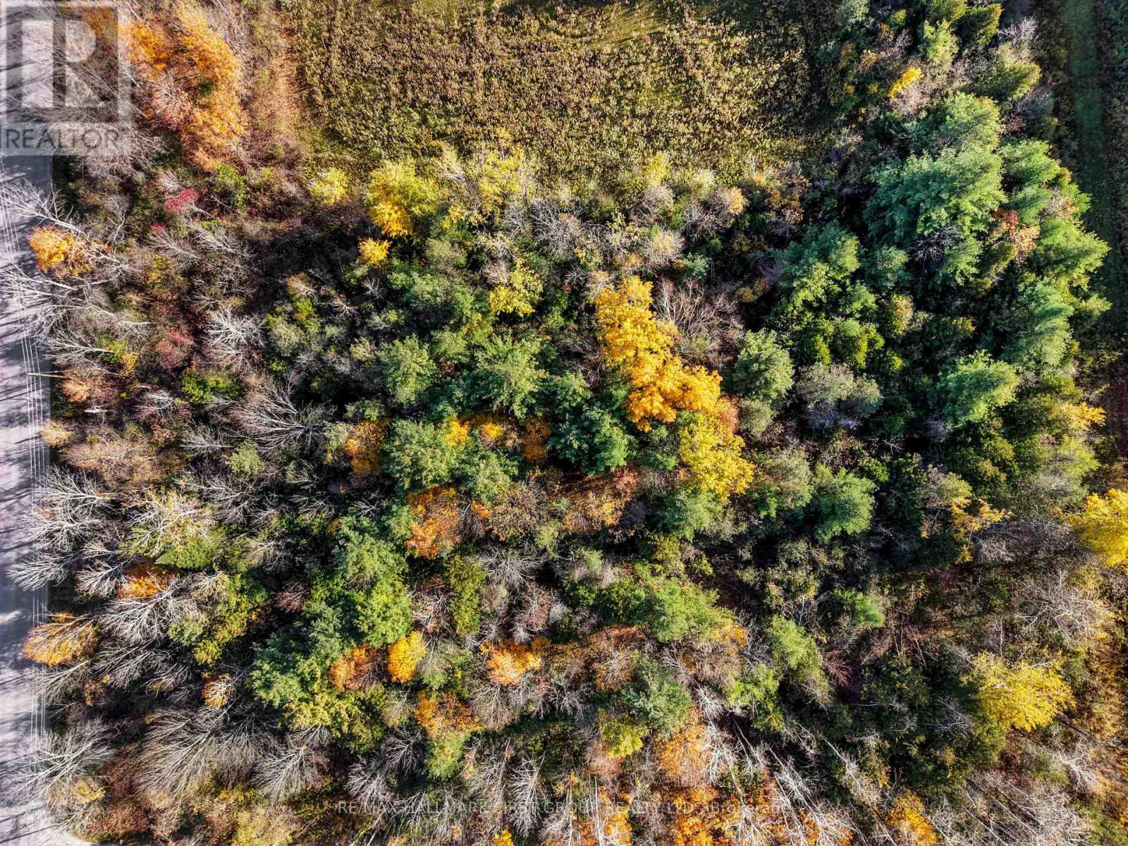 B2 Pipeline Road, Cramahe, ON photo 11