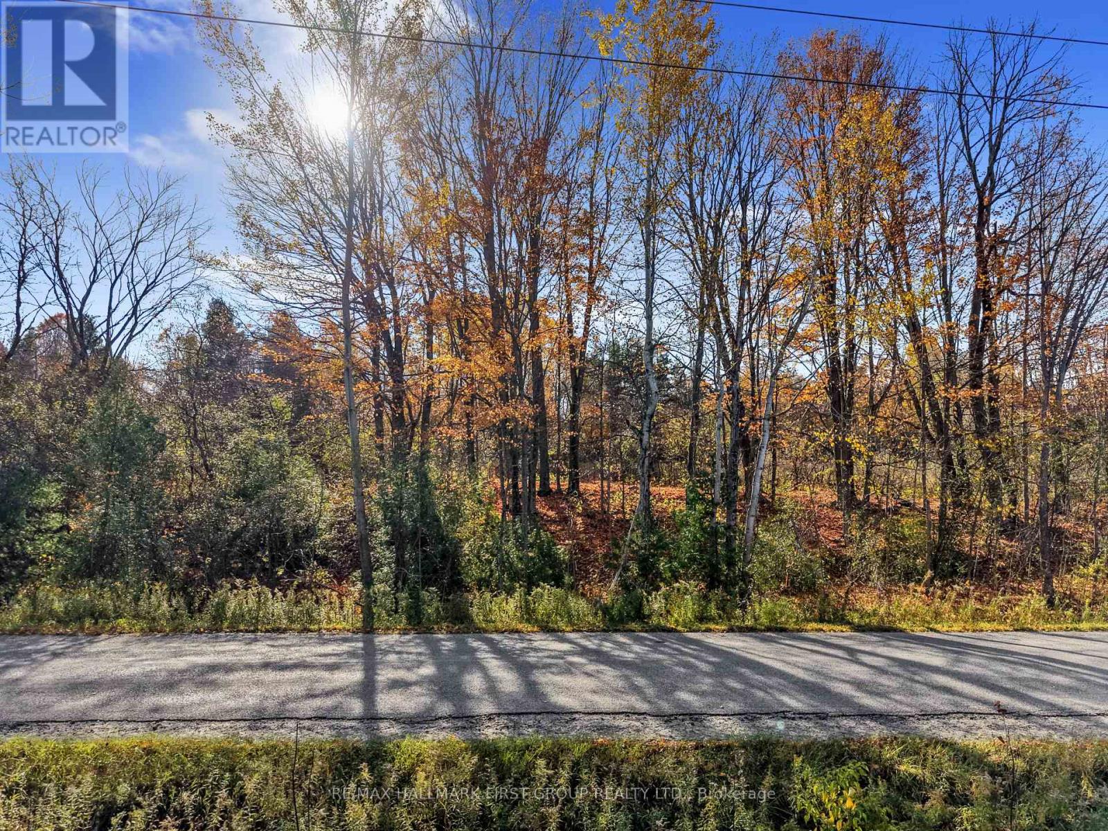 B2 Pipeline Road, Cramahe, ON photo 13
