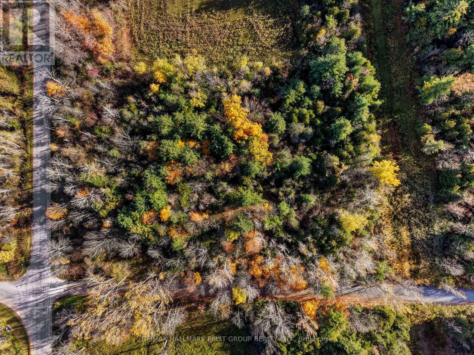 B2 Pipeline Road, Cramahe, ON photo 16