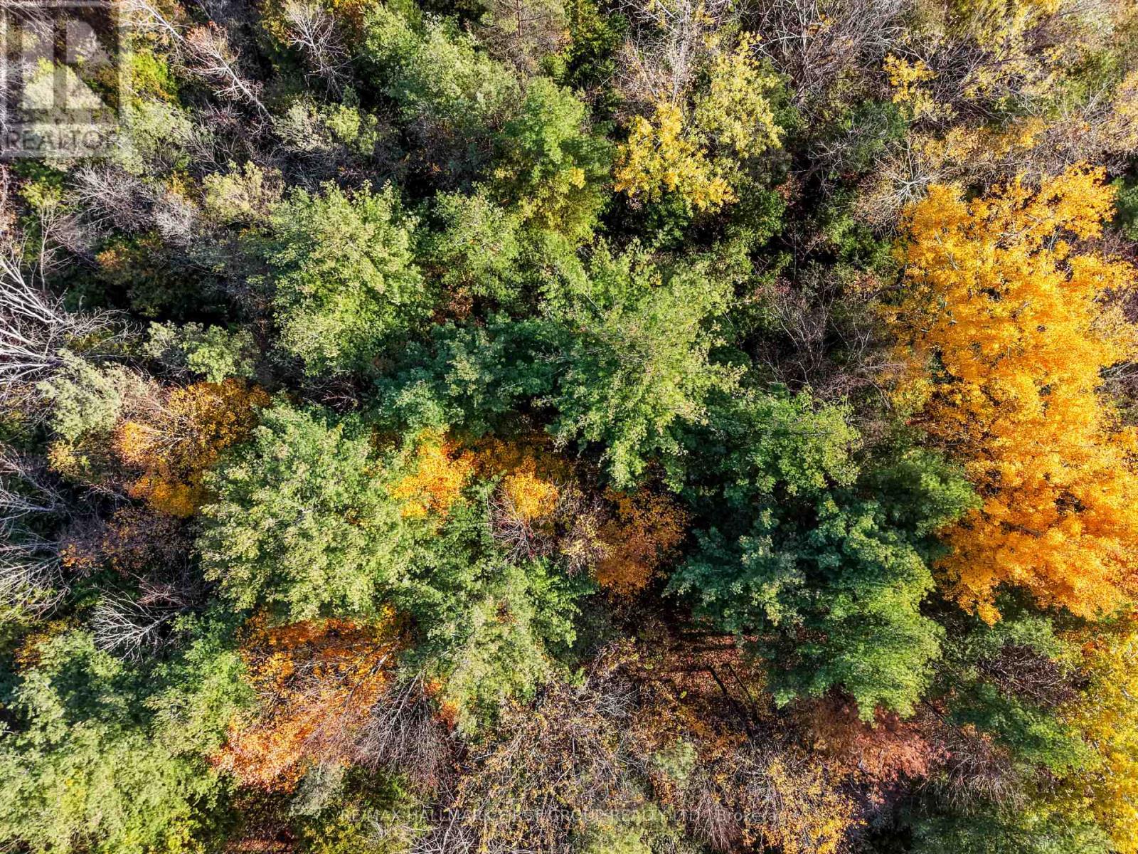 B2 Pipeline Road, Cramahe, ON photo 18
