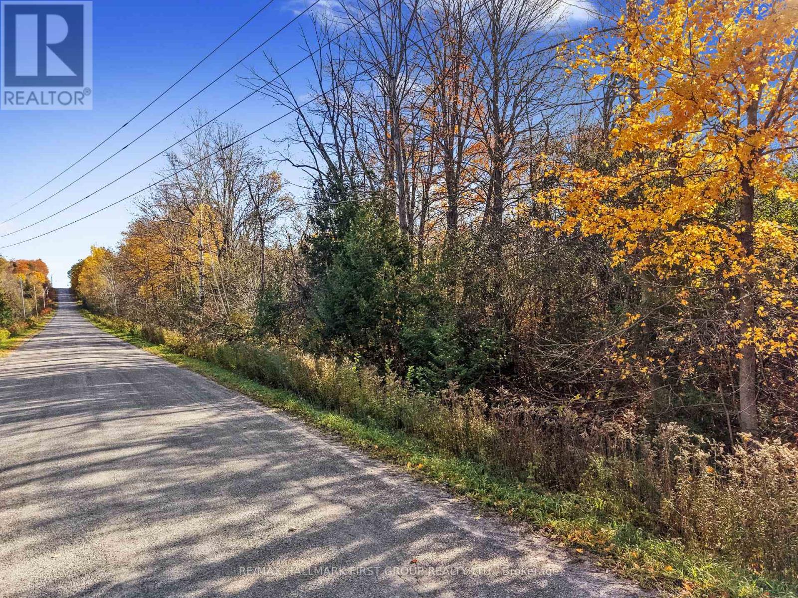 B2 Pipeline Road, Cramahe, ON photo 23