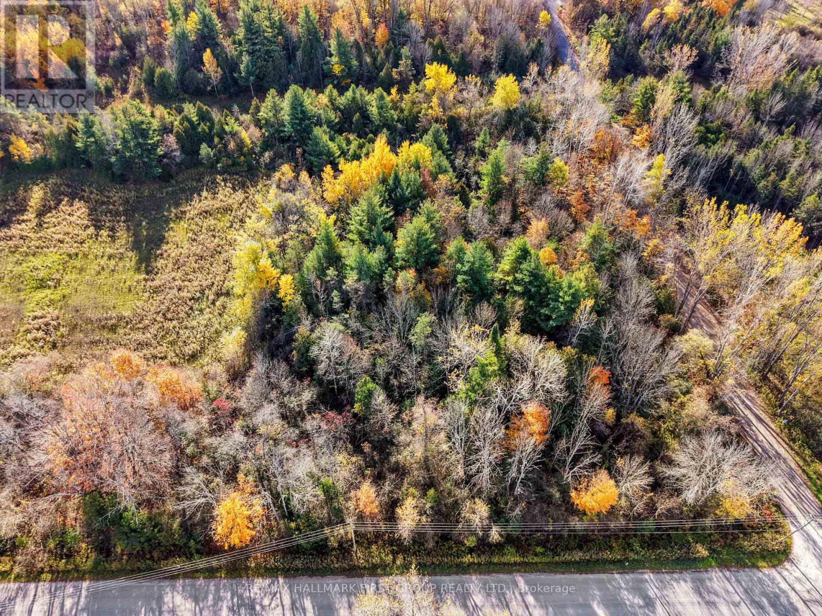 B2 Pipeline Road, Cramahe, ON photo 24