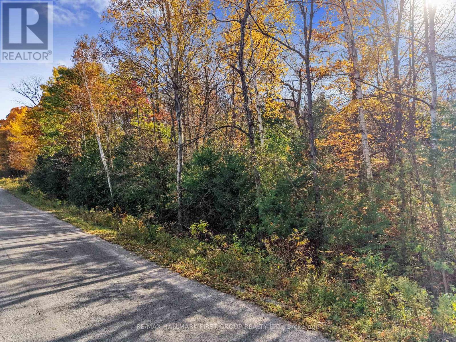 B2 Pipeline Road, Cramahe, ON photo 4