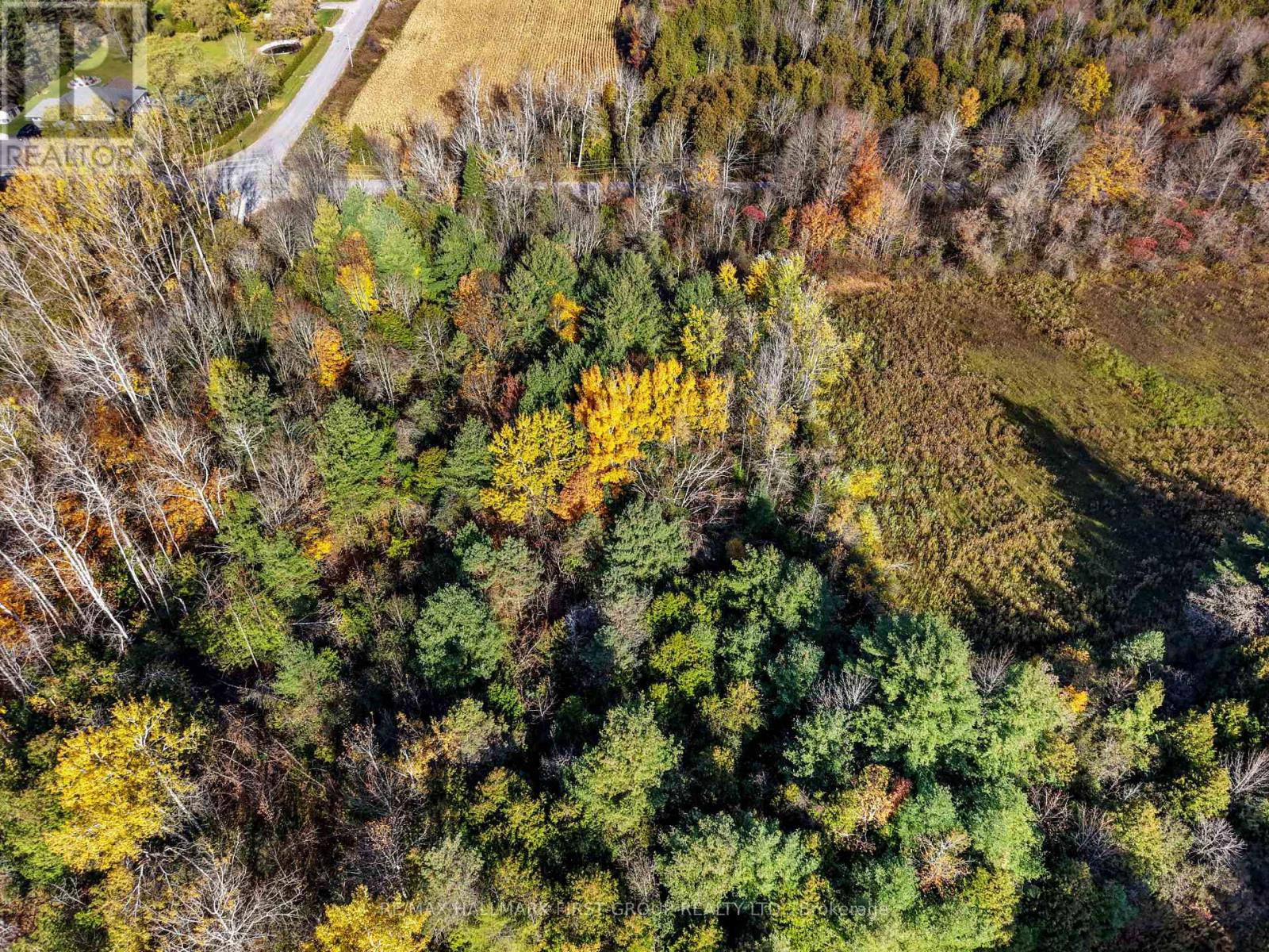 B2 Pipeline Road, Cramahe, ON photo 7