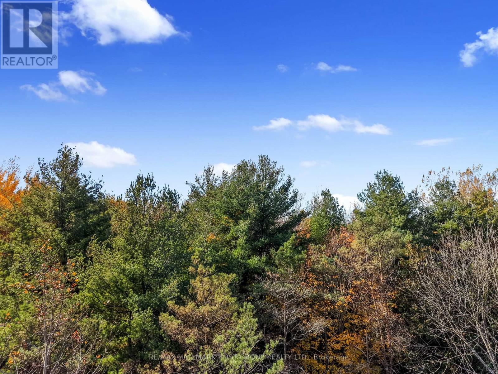 B2 Pipeline Road, Cramahe, ON photo 9