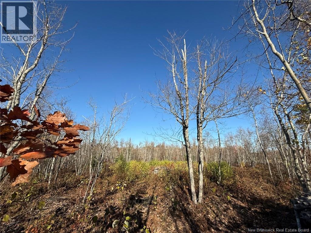 1.15 acres Cowans Creek, photo 1