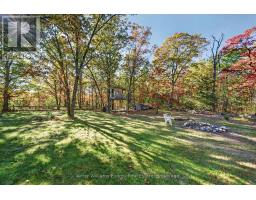 358 Hearns Road, Quinte West, ON K0K2C0 Photo 40