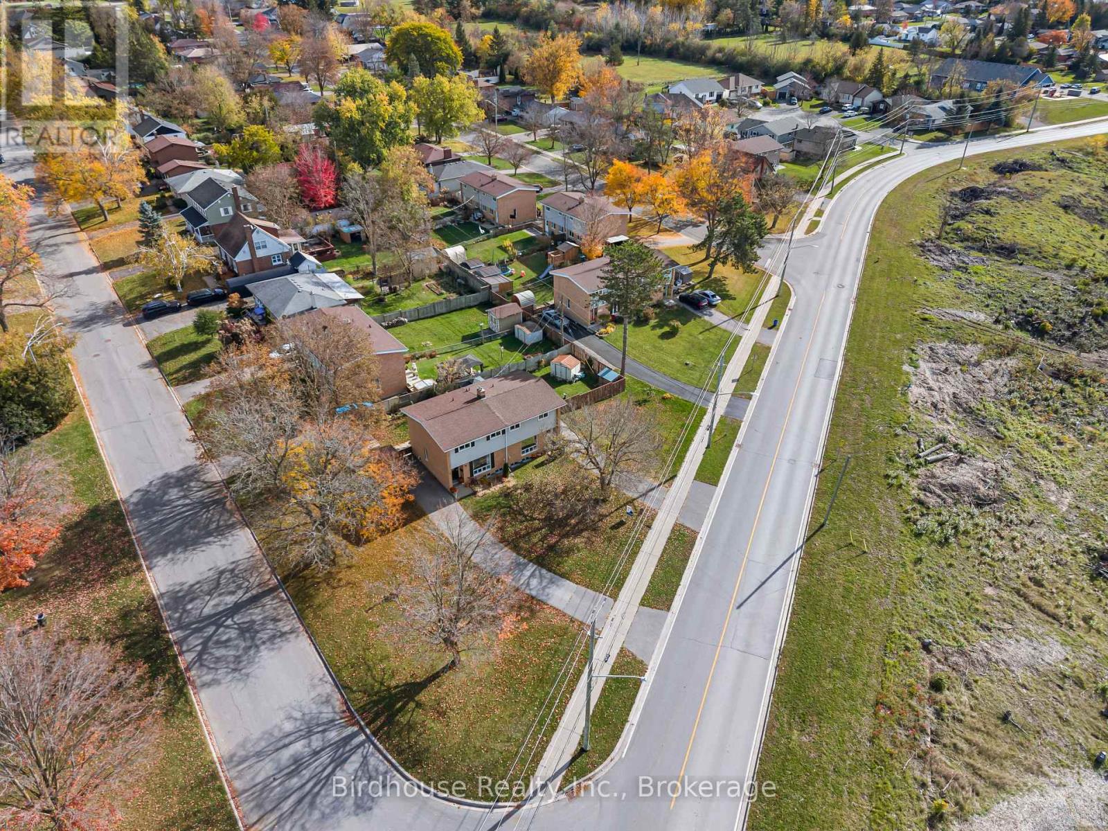 16 Logie Street, Kawartha Lakes, ON photo 36