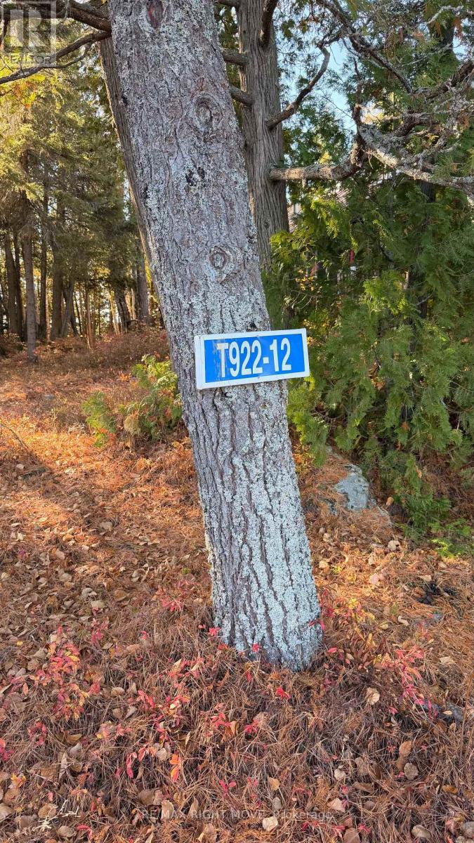 12 LAKE TEMAGAMI ISLAND, Temagami — photo 3