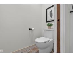 135 Walker Rd Nw, Edmonton, AB T5T4C2 Photo 38