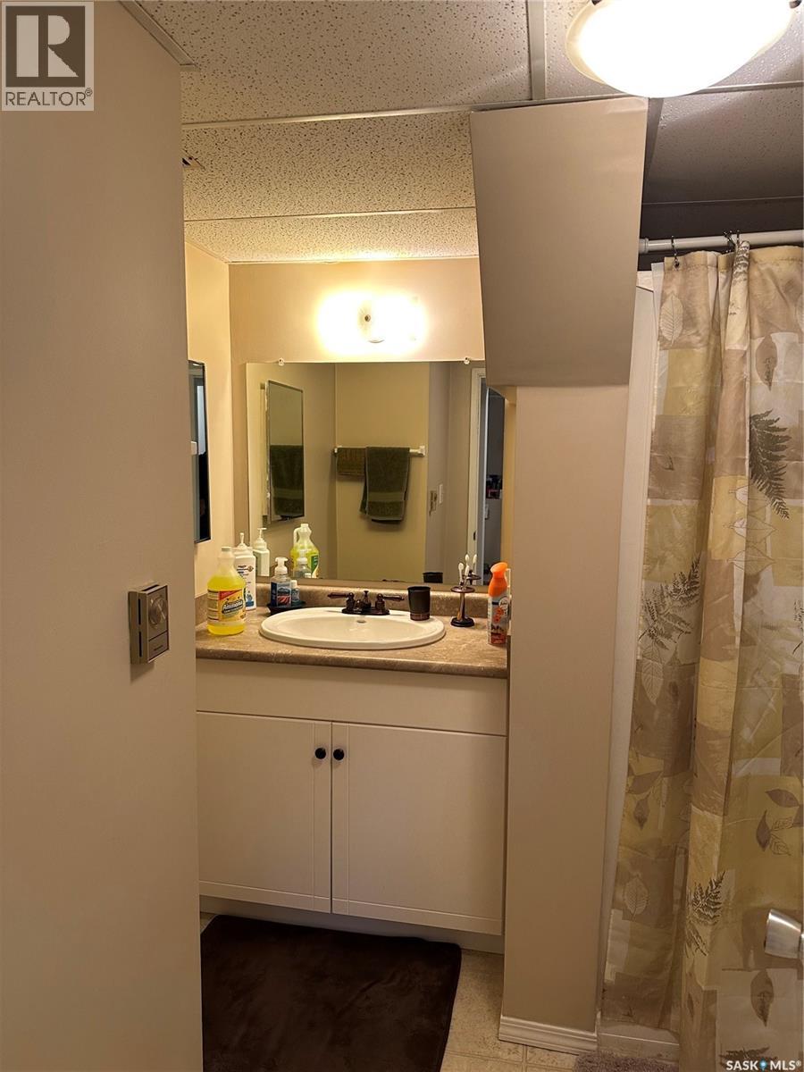 1131 MACKLEM DRIVE, Saskatoon — photo 23